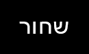 בקבוק דיו שחור