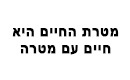 שבלונה פוליפרופילן 25/35 ס"מ